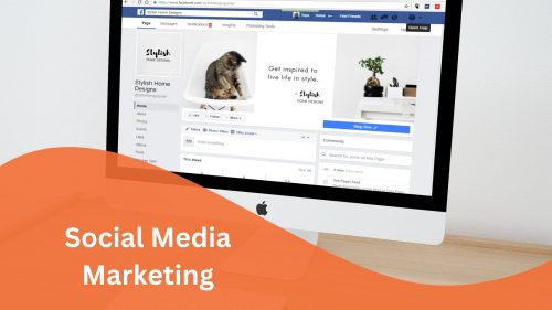 Social Media Marketing-Accurate Influence